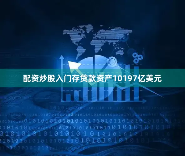 配资炒股入门存贷款资产10197亿美元