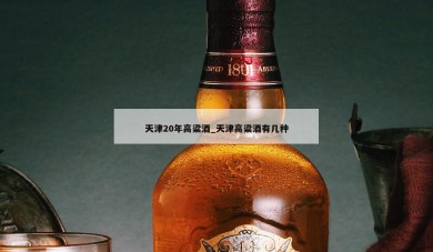 天津20年高粱酒_天津高粱酒有几种